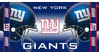 New York Giants NFL 30 x 60 Towels