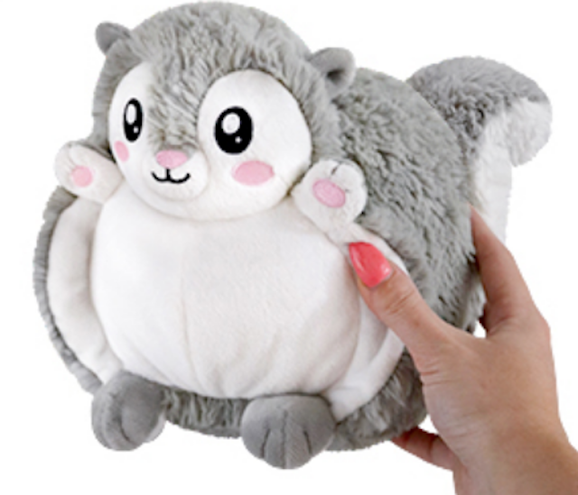 mini flying squirrel pet