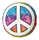 Round Rough Rainbow Autograph Pillow (Bunk Junk)
