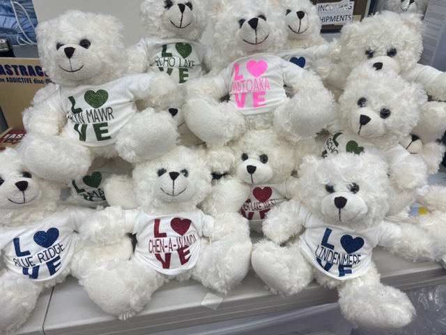 Camp Teddy Bear and Tee