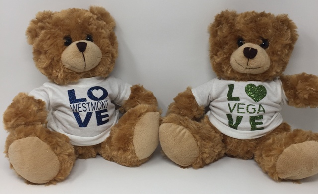 TEDDY BEAR WITH CAMP TEE (CUSTOM)