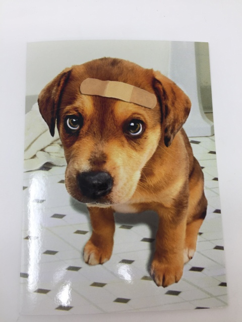 GREETING CARDS-BAND AID DOG