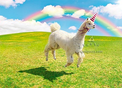 GREETING CARDS-ALPACA UNICORN