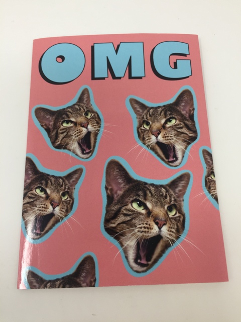 GREETING CARDS-OMG CAT-STANDOUT
