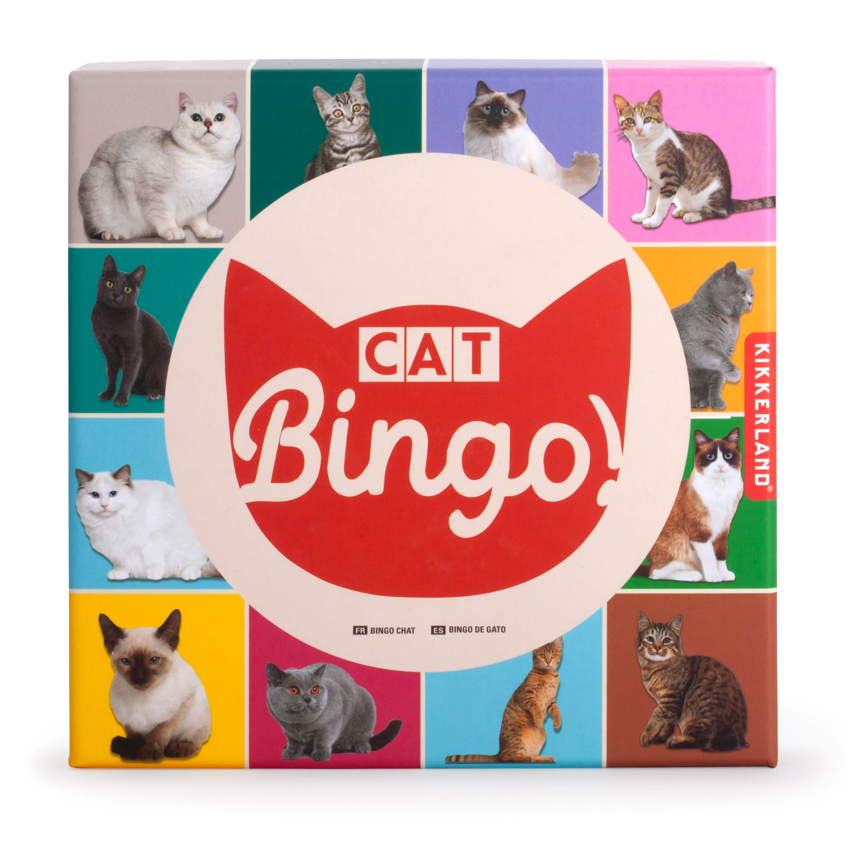 CAT BINGO