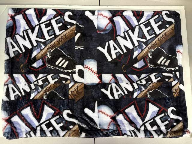Penelope Wildberry Fuzzy Pillowcase-NY Yankees