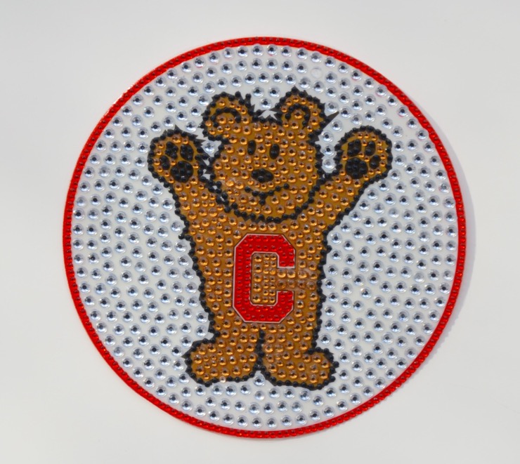 Camp StickerBeans-5