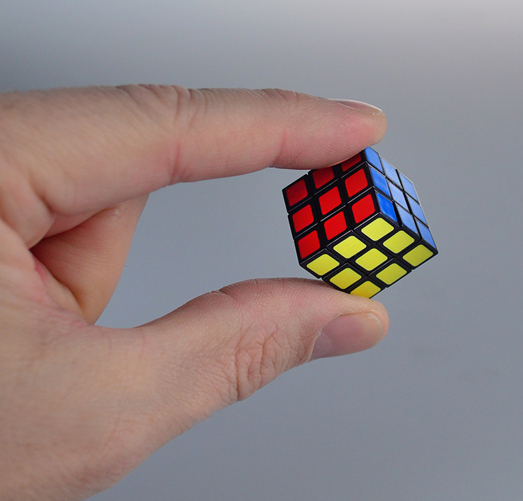 WORLD'S SMALLEST