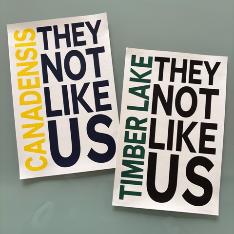LARGE VINYL SINGLE DECAL (CUSTOM)-NO LIKE US