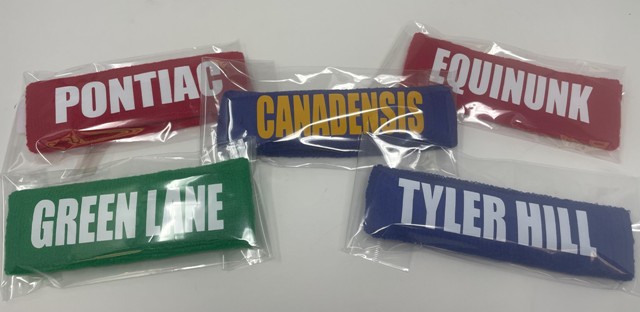 CAMP NAME TERRY HEADBAND/SWEATBAND