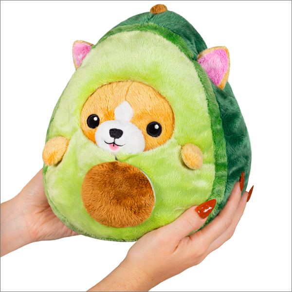 SQUISHABLE UNDERCOVER CORGI IN AVOCADO 7