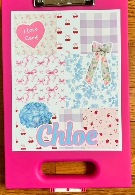 ALLI PAIGE CLIPCASE (CUSTOM)