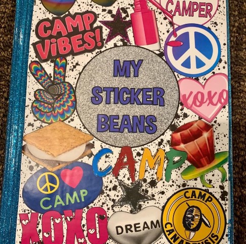 ALLI PAIGE STICKERBEANS BOOK (CUSTOM)
