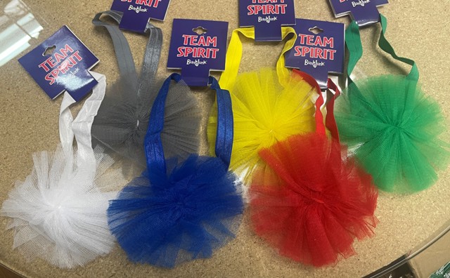 COLOR WAR RIBBON HEADBAND