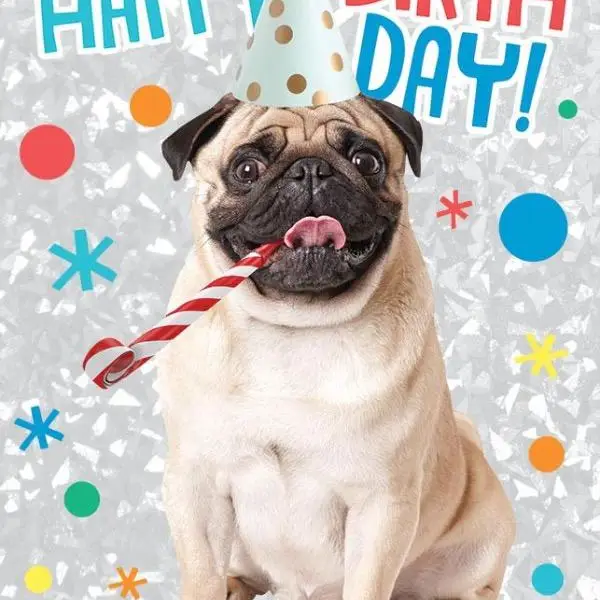 BIRTHDAY PUG FOIL CARD