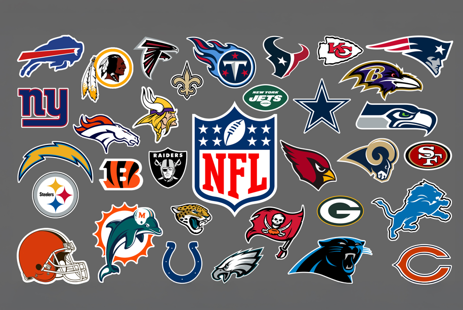 FLOOR MAT-NFL